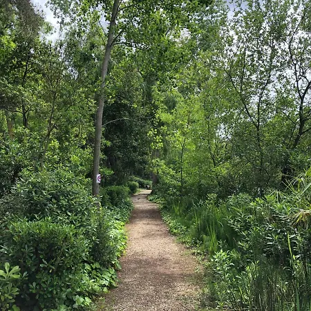 L'ophelie Apartmán Six-Fours-les-Plages